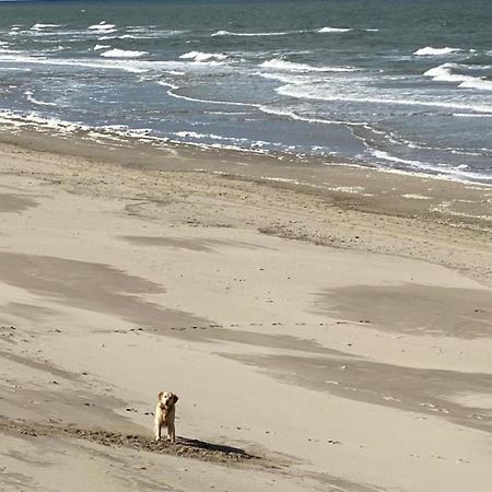 Natur Pur, O4 Neues Ferienhaus Natureingebunden, Familien- Und Hundefreundlich Eingezaeunt Callantsoog Exterior foto