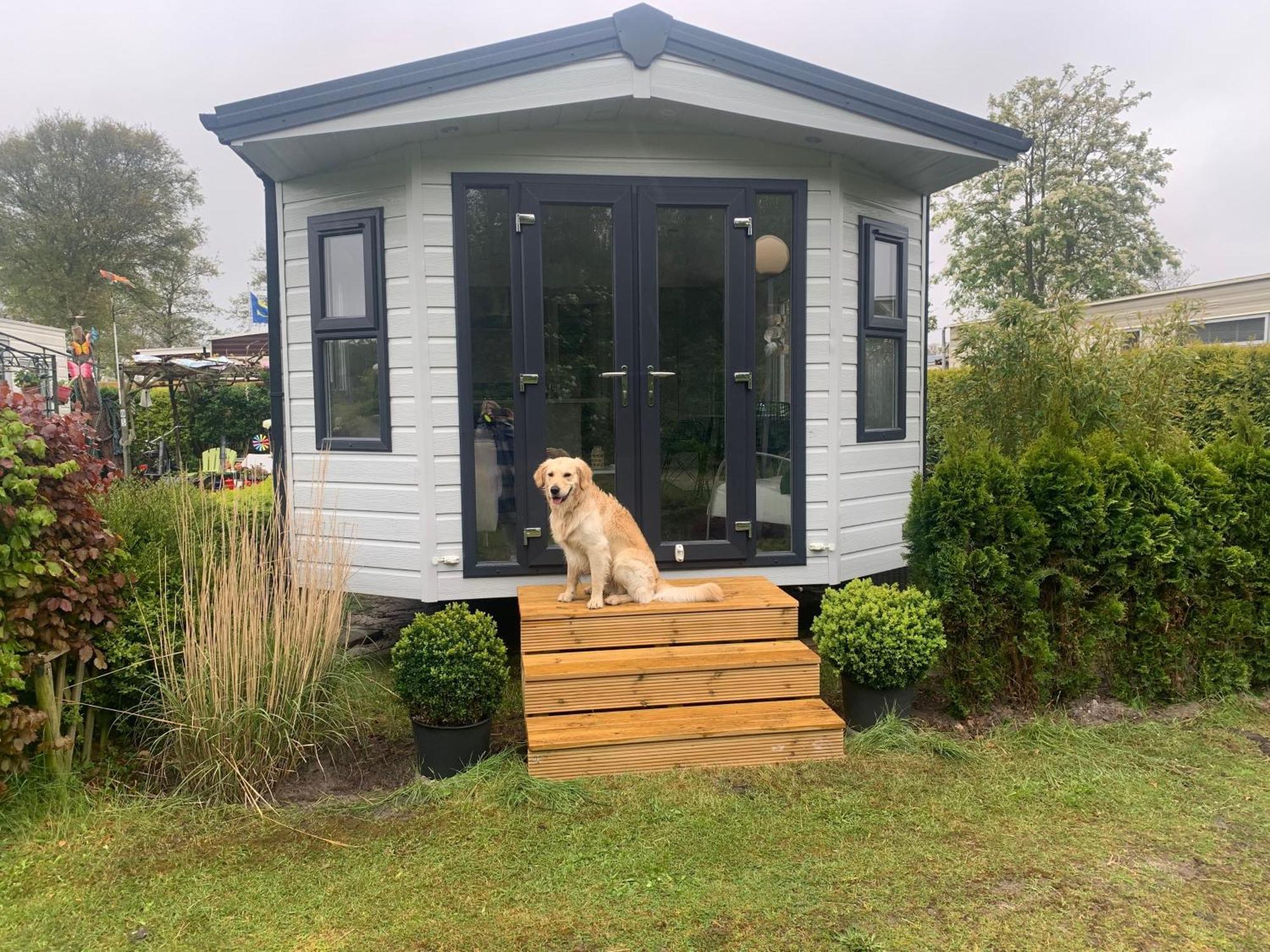 Natur Pur, O4 Neues Ferienhaus Natureingebunden, Familien- Und Hundefreundlich Eingezaeunt Callantsoog Exterior foto